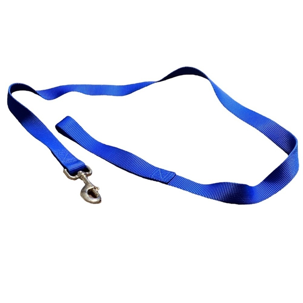 1” Reinforced Walking Lease in Blue, [46” Length]